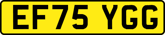 EF75YGG