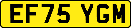 EF75YGM