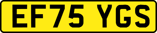 EF75YGS