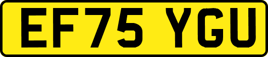 EF75YGU