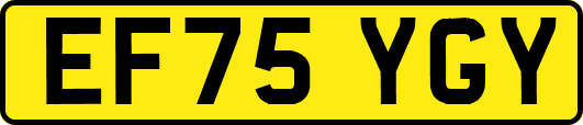 EF75YGY