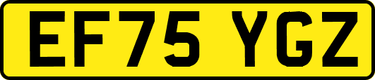 EF75YGZ