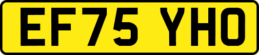 EF75YHO