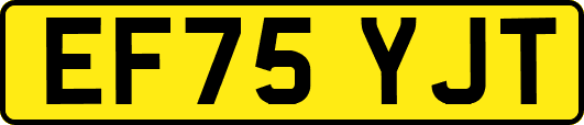 EF75YJT