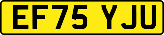 EF75YJU