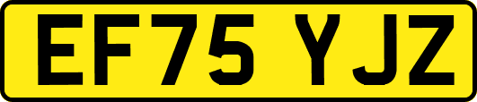 EF75YJZ