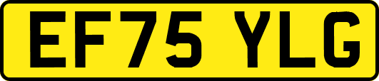 EF75YLG