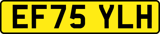 EF75YLH