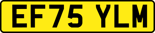 EF75YLM