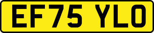 EF75YLO