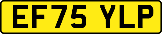 EF75YLP