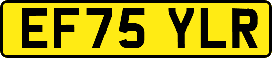 EF75YLR
