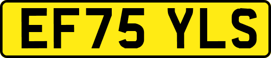 EF75YLS