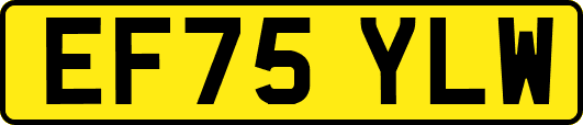 EF75YLW