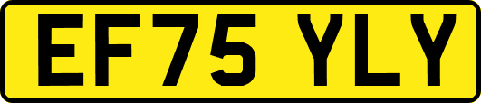 EF75YLY