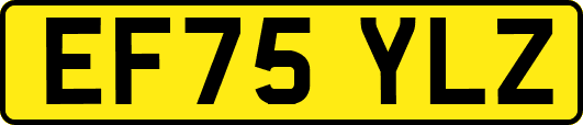 EF75YLZ