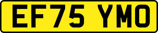EF75YMO