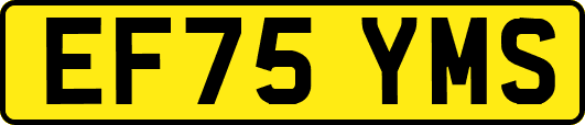 EF75YMS