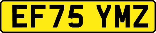 EF75YMZ