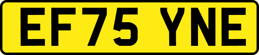 EF75YNE