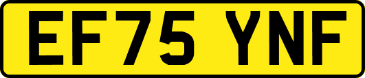 EF75YNF