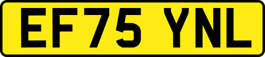 EF75YNL