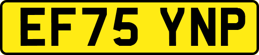 EF75YNP
