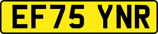 EF75YNR