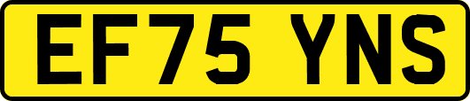 EF75YNS