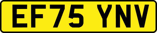 EF75YNV