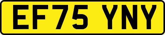EF75YNY