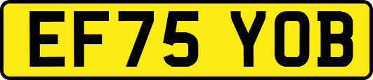 EF75YOB