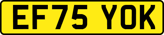 EF75YOK