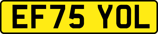 EF75YOL