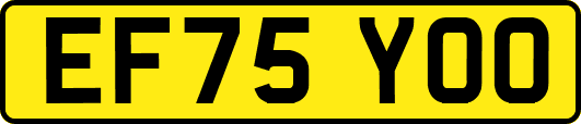 EF75YOO