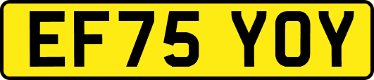 EF75YOY