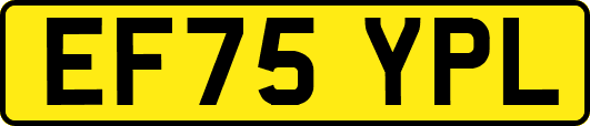 EF75YPL