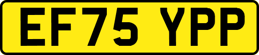 EF75YPP