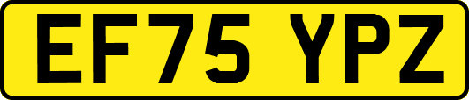EF75YPZ
