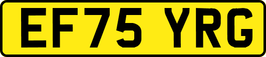 EF75YRG