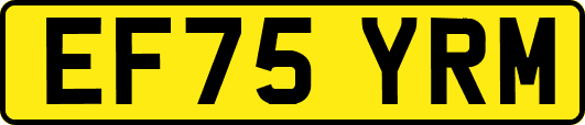 EF75YRM