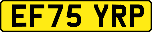 EF75YRP