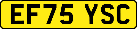 EF75YSC