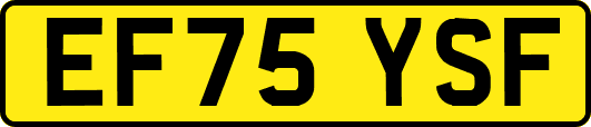 EF75YSF