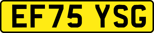 EF75YSG
