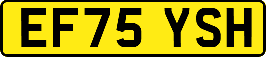 EF75YSH