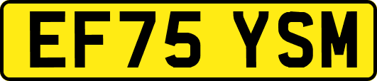 EF75YSM