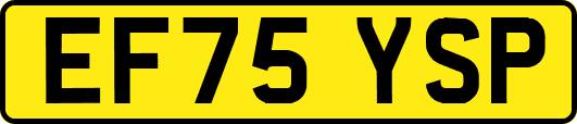 EF75YSP