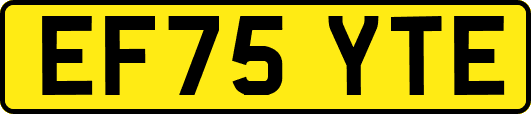 EF75YTE
