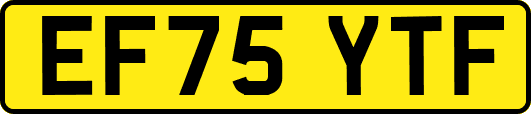 EF75YTF